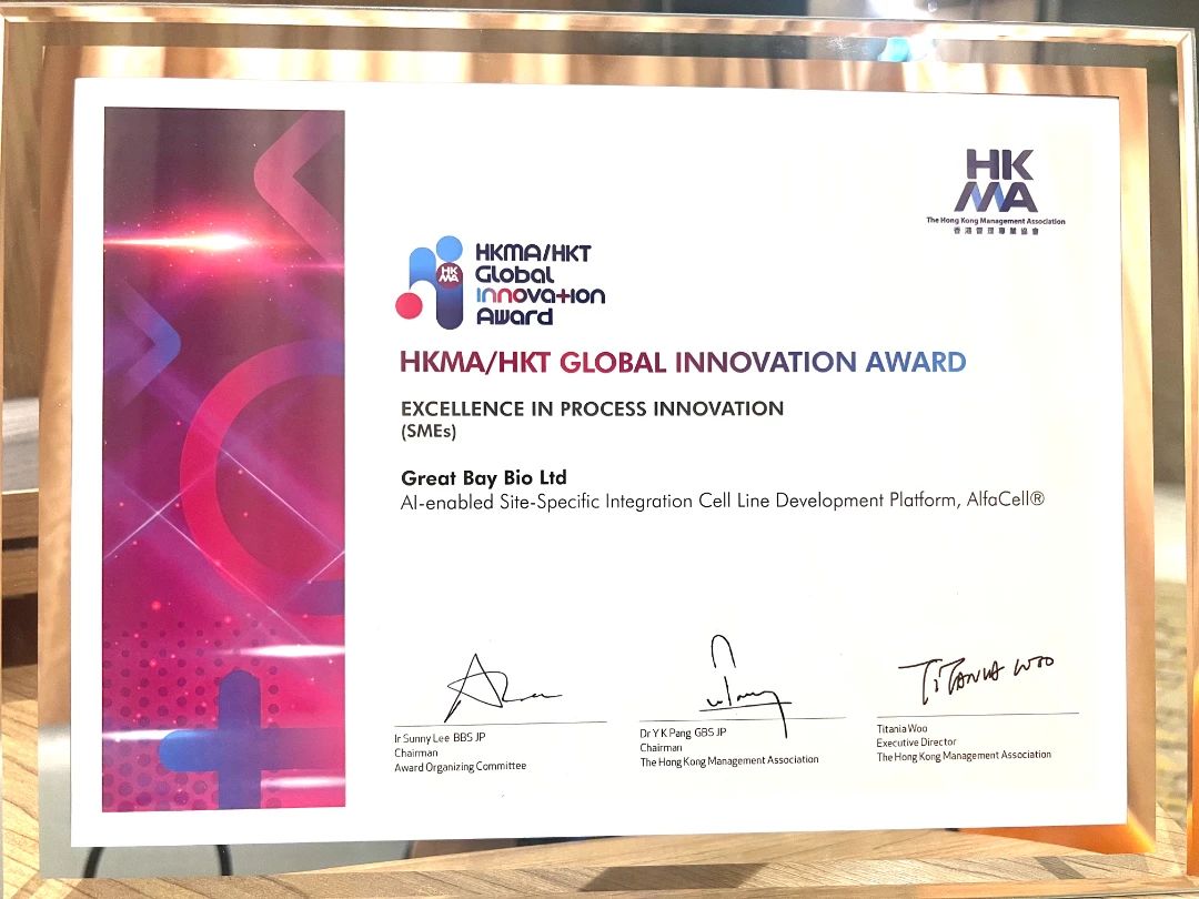 香港环球创新奖卓越工艺创新奖